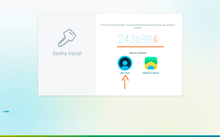 INSS7.png INSS7.png