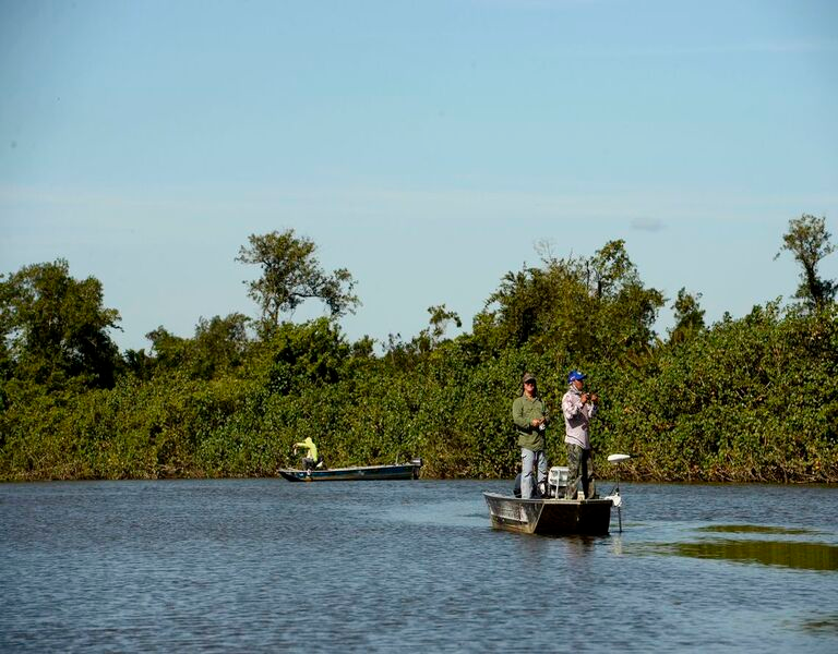 ICMBio autoriza pesca esportiva em unidades de conservação ambiental.