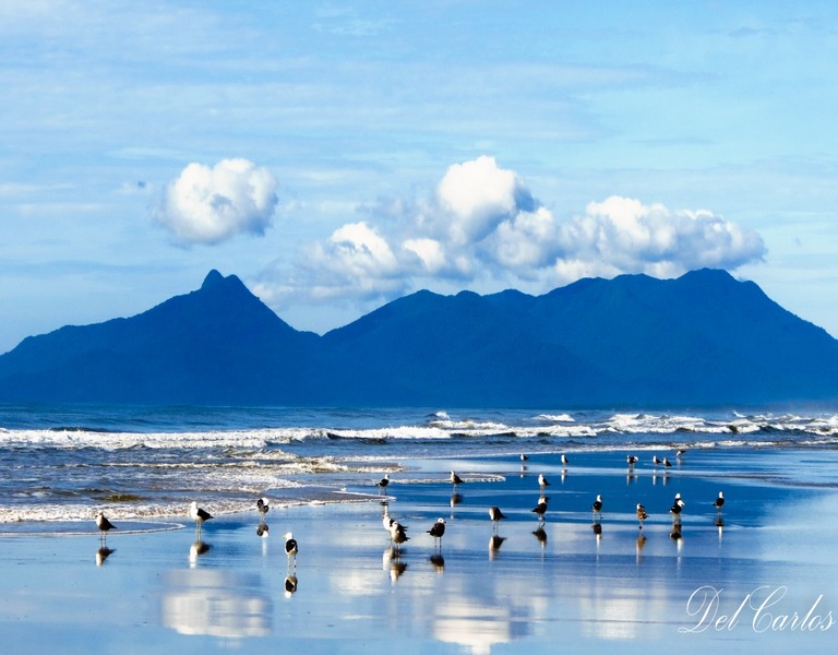 Prefeitura convida para Audiência Pública sobre a implantação da Taxa de Preservação Ambiental - TPA.